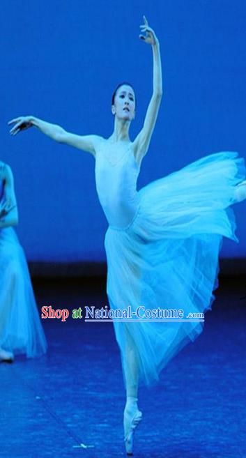Traditional Modern Dancing Compere Costume, Female Opening Classic Chorus Singing Group Dance Bubble Dress Tu Tu Dancewear, Modern Dance Classic Ballet Dance Long Veil Dress for Women