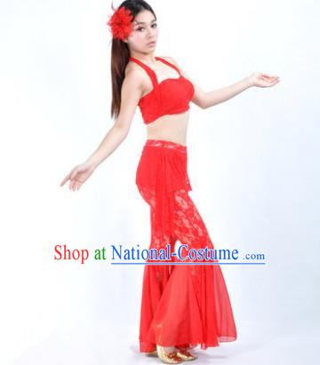 Indian National Belly Dance Red Lace Suits Bollywood Oriental Dance Costume for Women