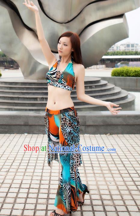 Indian Traditional Belly Dance Costume Classical Oriental Dance Dress for Women