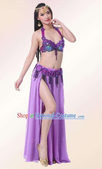 Indian Oriental Belly Dance Performance Purple Dress Traditional Raks Sharki Dance Costume for Women