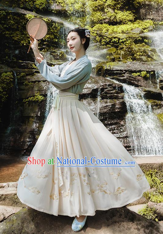 Traditional Chinese Song Dynasty Palace Princess Embroidered Costumes Complete Set for Women