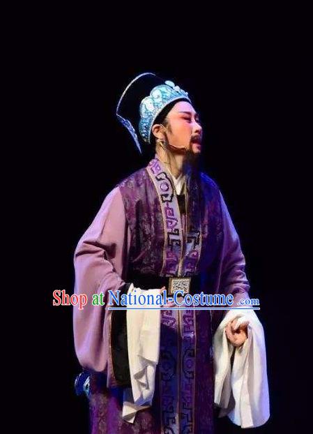 Chinese Yue Opera Ministry Councillor Apparels The Story of Hairpin Garment Shaoxing Opera Old Man Costumes and Headwear Complete Set