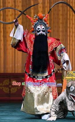 Sacrifice Zhao Shi Gu Er Chinese Peking Opera Elderly Male Garment Costumes and Headwear Beijing Opera Laosheng King Apparels Old Man Clothing