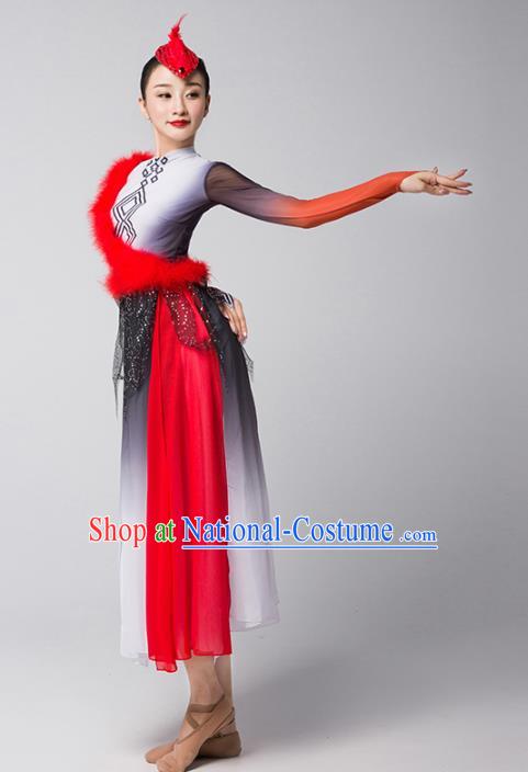 Top Chinese Classical Dance Dress Woman Group Dance Garment Costume Traditional Stage Performance Clothing