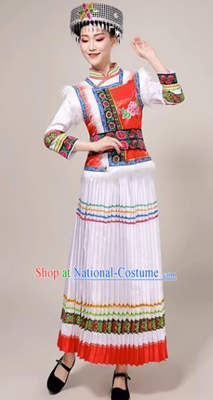 Ethnic Minority Costume Lisu Dance Performance Costume Adult Female Yunnan Performance Costume Suit Skirt