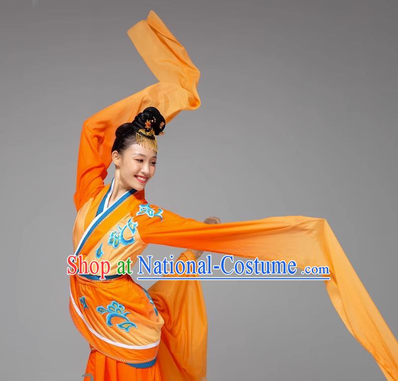 Classical Dance Water Sleeve Dance Costume Jade Dance Long Water Sleeve National Performance Costume